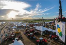 Template Colunistas – Yhuldes Giovani