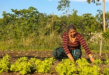 Template Colunistas – Yhuldes Giovani