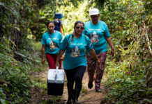 Template Colunistas – Yhuldes Giovani