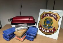 Template Colunistas – Yhuldes Giovani