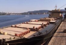 Template Colunistas – Yhuldes Giovani