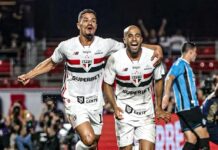 Template Colunistas – Yhuldes Giovani