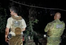 Template Colunistas – Yhuldes Giovani