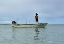 Template Colunistas – Yhuldes Giovani