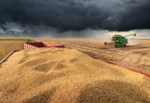 Template Colunistas – Yhuldes Giovani