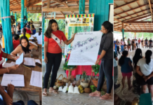 Template Colunistas – Yhuldes Giovani