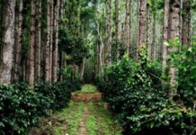 Template Colunistas – Yhuldes Giovani