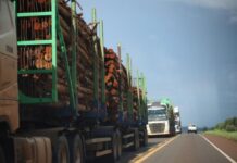 Template Colunistas – Yhuldes Giovani