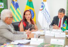 Template Colunistas – Yhuldes Giovani