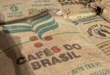 Template Colunistas – Yhuldes Giovani