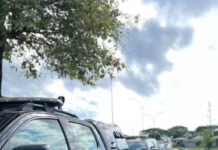 Template Colunistas – Yhuldes Giovani