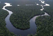 Template Colunistas – Yhuldes Giovani