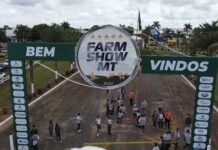 Template Colunistas – Yhuldes Giovani