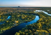 Template Colunistas – Yhuldes Giovani