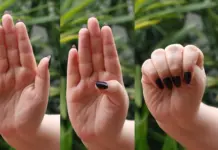 Template Colunistas – Yhuldes Giovani