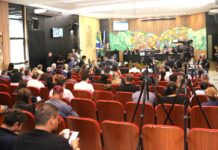 Template Colunistas – Yhuldes Giovani