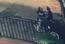 Template Colunistas – Yhuldes Giovani