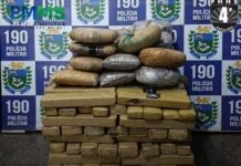 Template Colunistas – Yhuldes Giovani