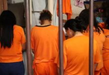 Template Colunistas – Yhuldes Giovani