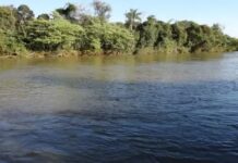 Template Colunistas – Yhuldes Giovani