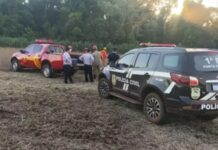 Template Colunistas – Yhuldes Giovani