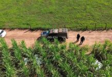 Template Colunistas – Yhuldes Giovani