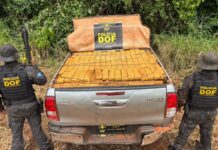 Template Colunistas – Yhuldes Giovani