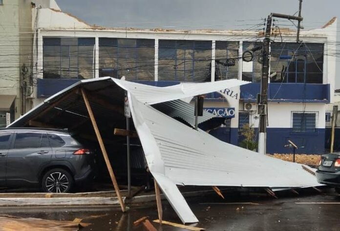 WhatsApp Image 2026-02-18 at 16.44.54