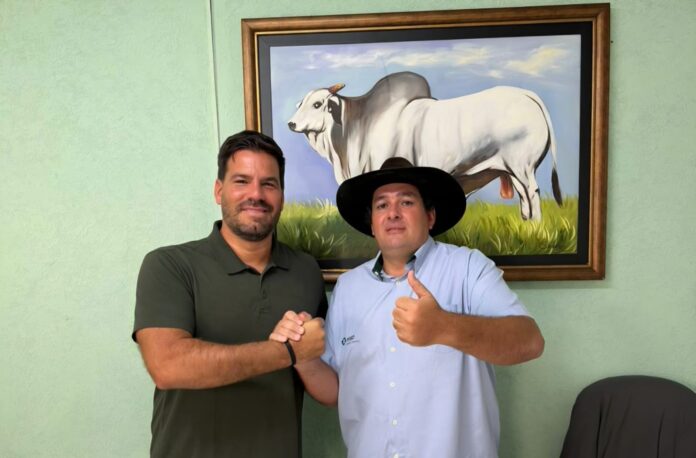 WhatsApp Image 2026-02-20 at 19.08.38