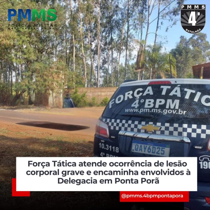 WhatsApp Image 2026-02-22 at 19.52.43