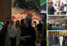 Template Colunistas – Yhuldes Giovani