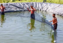 Template Colunistas – Yhuldes Giovani