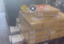 Template Colunistas – Yhuldes Giovani