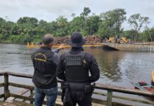 Template Colunistas – Yhuldes Giovani