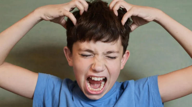 Piojos en temporada escolar: cómo prevenir y tratar a tiempo