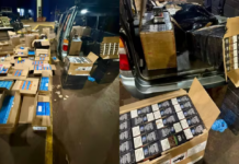 Template Colunistas – Yhuldes Giovani