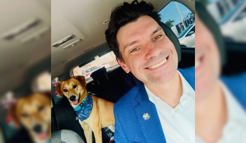 Corpo do cão Orelha é exumado e perícia deve revelar detalhes sobre morte em Florianópolis