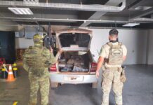 Template Colunistas – Yhuldes Giovani