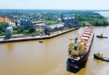 Template Colunistas – Yhuldes Giovani