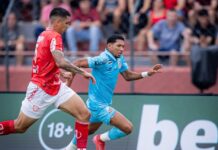 Template Colunistas – Yhuldes Giovani