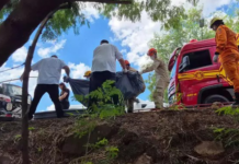 Template Colunistas – Yhuldes Giovani