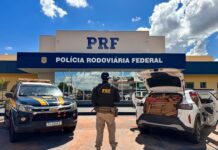 Template Colunistas – Yhuldes Giovani