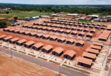 Template Colunistas – Yhuldes Giovani