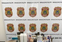 Template Colunistas – Yhuldes Giovani