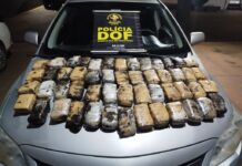 Template Colunistas – Yhuldes Giovani