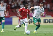 Template Colunistas – Yhuldes Giovani