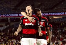 Template Colunistas – Yhuldes Giovani