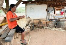 Template Colunistas – Yhuldes Giovani