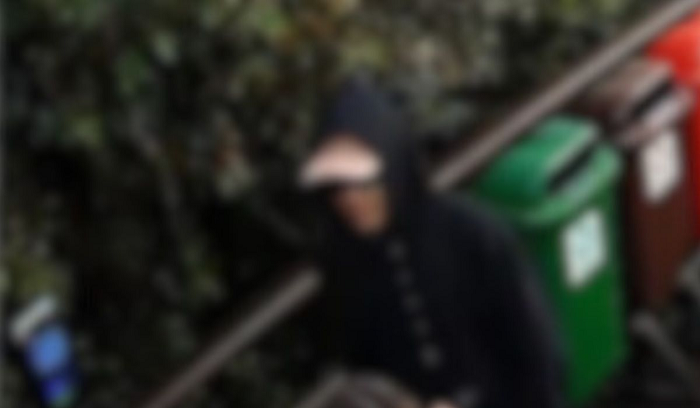 Polícia pede internação de adolescente que agrediu e matou cão Orelha em SC Polícia pede internação de adolescente que agrediu e matou cão Orelha em SC