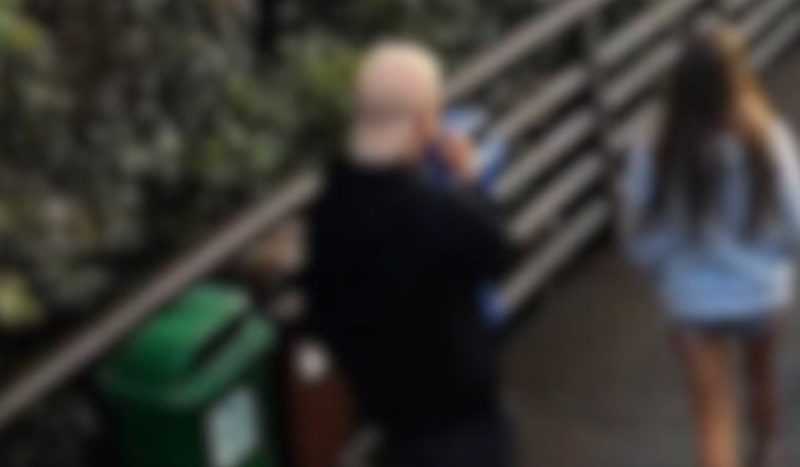 Polícia pede internação de adolescente que agrediu e matou cão Orelha em SC Polícia pede internação de adolescente que agrediu e matou cão Orelha em SC